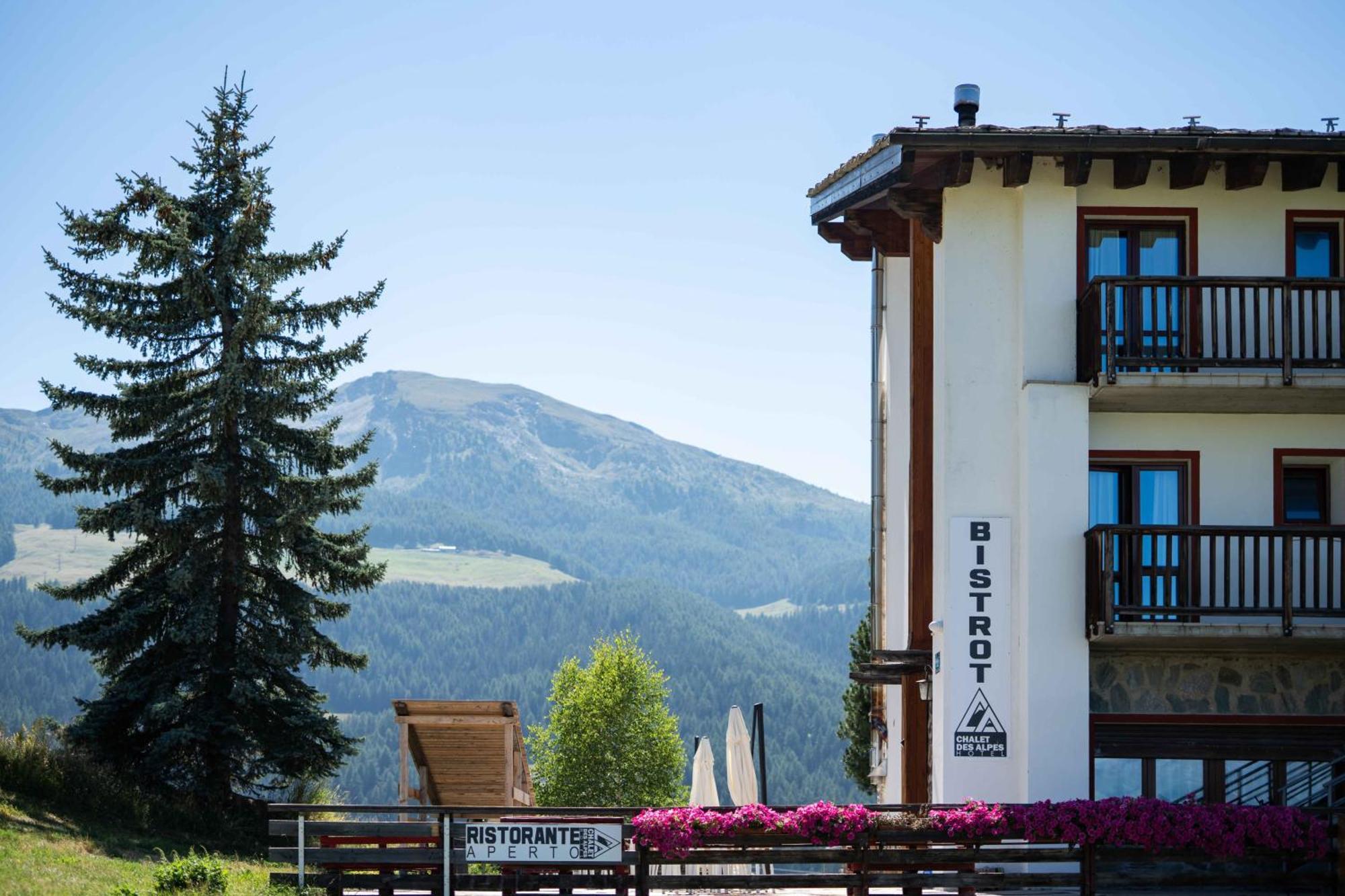 Chalet Des Alpes 格雷桑 外观 照片
